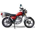 Moto de Combustión GN 125 MZ PRODUCTS - Image 3
