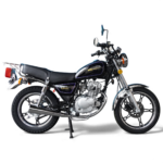 Moto de Combustión GN 125 MZ PRODUCTS - Image 4